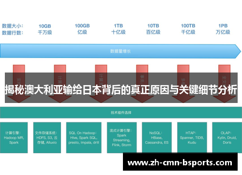 揭秘澳大利亚输给日本背后的真正原因与关键细节分析 揭秘澳大利亚输给日本背后的真正原因与关键细节分析