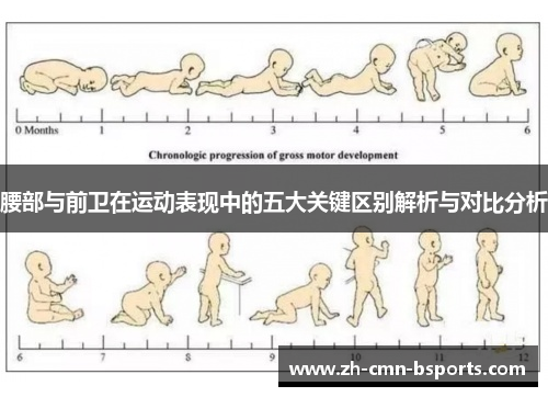 腰部与前卫在运动表现中的五大关键区别解析与对比分析 腰部与前卫在运动表现中的五大关键区别解析与对比分析