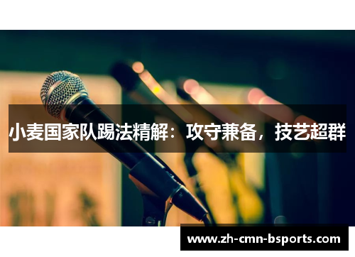 小麦国家队踢法精解：攻守兼备，技艺超群