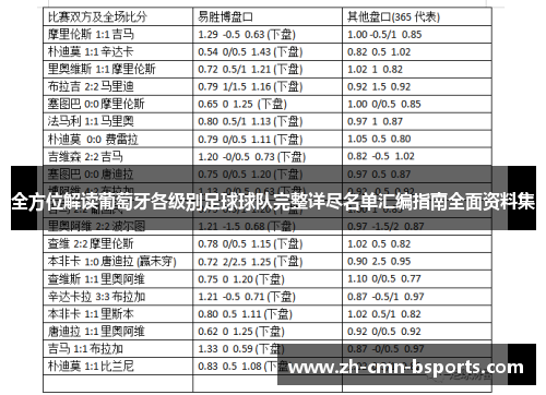 全方位解读葡萄牙各级别足球球队完整详尽名单汇编指南全面资料集